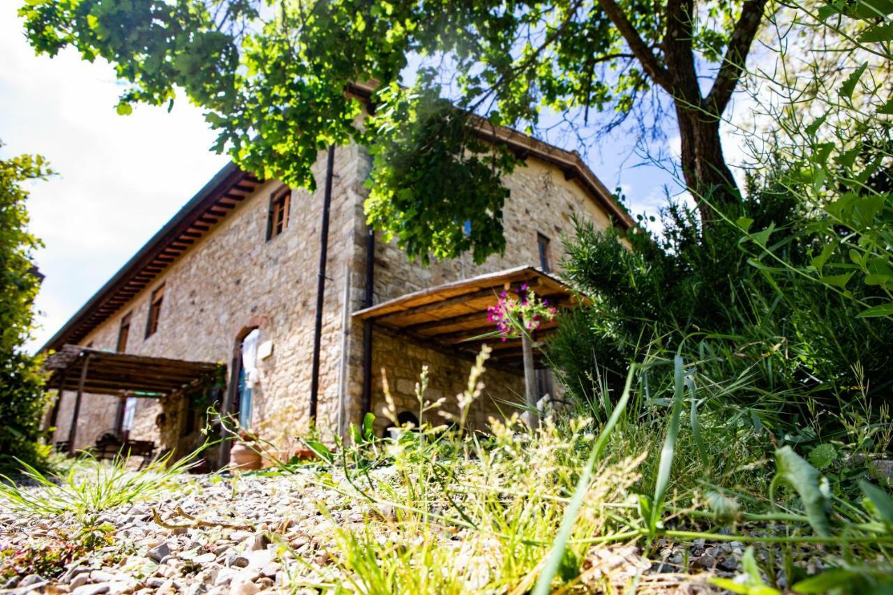 Il Vichiaccio Country House インプルネータ エクステリア 写真